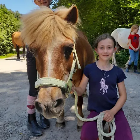 Domek alpejski Tiny Parada Aywaille